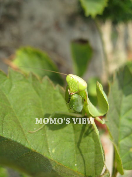 不要拍! 不要拍!!