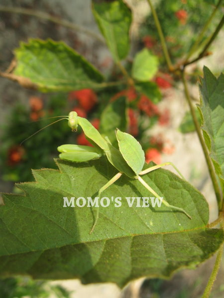 既然要拍就給我拍好看一點!!