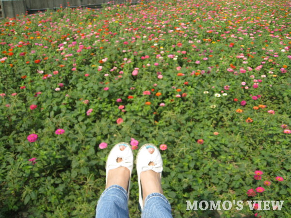 我很愛拍腳,真是變態