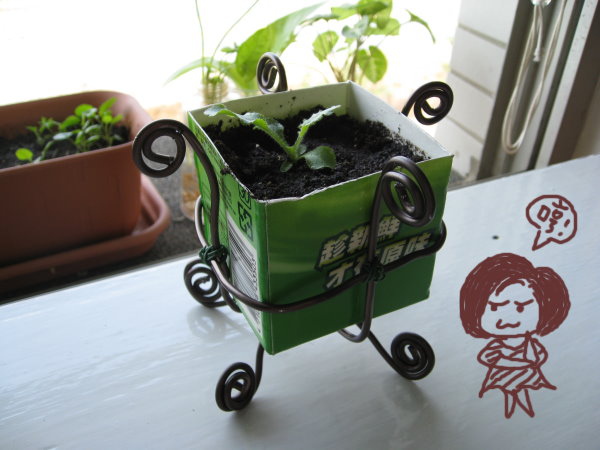 廢物利用,環保愛地球的啦