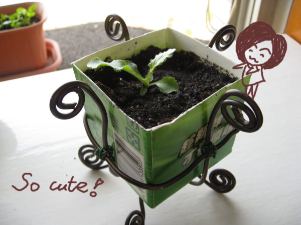 很可愛吧 呵呵...