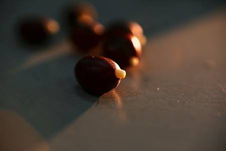 DPP_0001.JPG DPP_0001.JPG