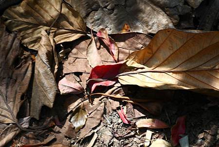 IMG_9000.JPG IMG_9000.JPG