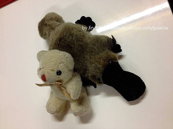 IMG_7578貝 IMG_7578貝
