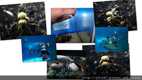 2012海生館3.jpg 2012海生館3.jpg