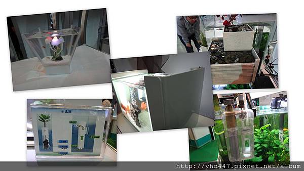 2012水族展 2012水族展