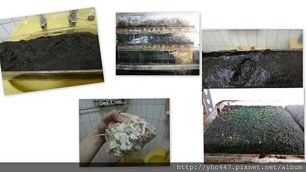 馬達水量不足淤積 馬達水量不足淤積