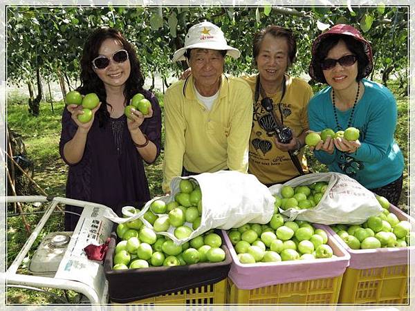 翔爸好友家採棗樂_075.JPG 翔爸好友家採棗樂_075.JPG