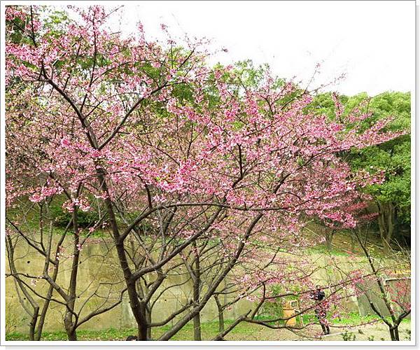 壽山巖觀音寺_77.jpg 壽山巖觀音寺_77.jpg
