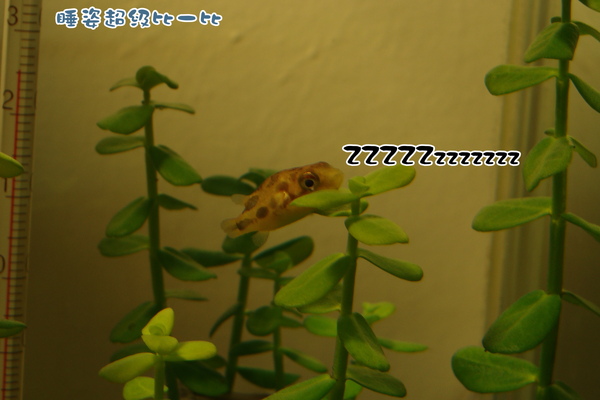 DSC01184_2.JPG DSC01184_2.JPG