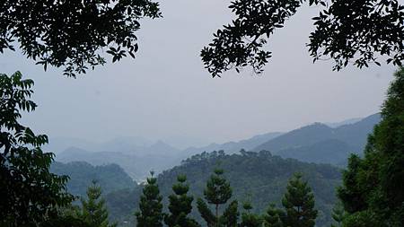 DSC06924.JPG DSC06924.JPG