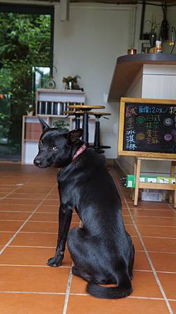 DSC06922.JPG DSC06922.JPG