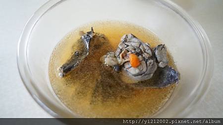 DSC08310.JPG DSC08310.JPG