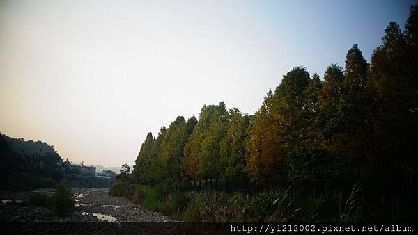 DSC08834.JPG DSC08834.JPG