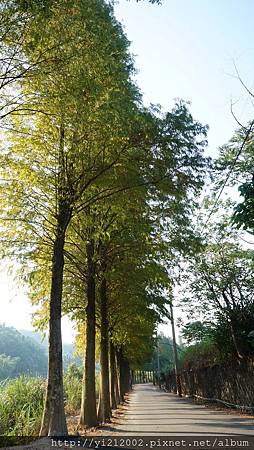 DSC08756.JPG DSC08756.JPG