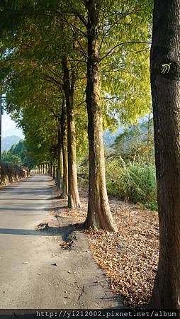 DSC08765.JPG DSC08765.JPG