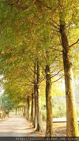 DSC08769.JPG DSC08769.JPG