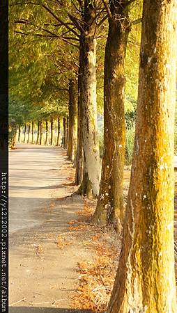 DSC08770.JPG DSC08770.JPG