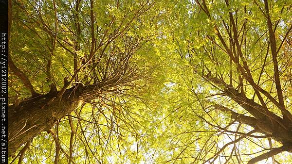 DSC08773.JPG DSC08773.JPG