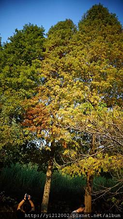 DSC08775.JPG DSC08775.JPG