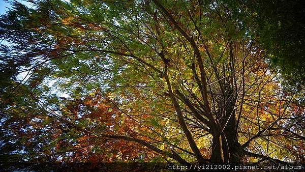 DSC08788.JPG DSC08788.JPG