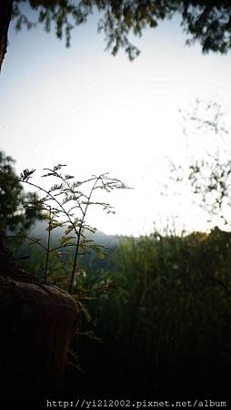 DSC08794.JPG DSC08794.JPG