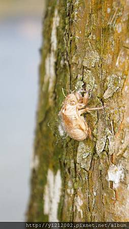 DSC08797.JPG DSC08797.JPG