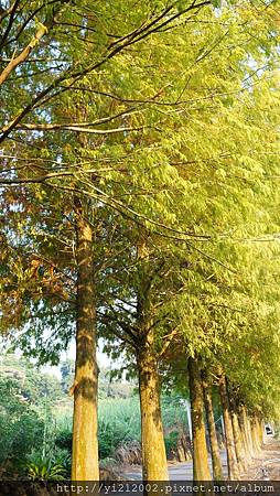 DSC08807.JPG DSC08807.JPG