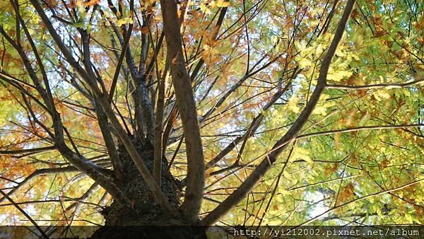 DSC08808.JPG DSC08808.JPG