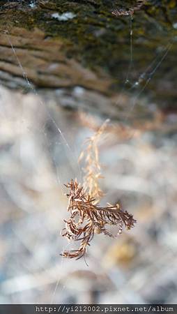 DSC08816.JPG DSC08816.JPG