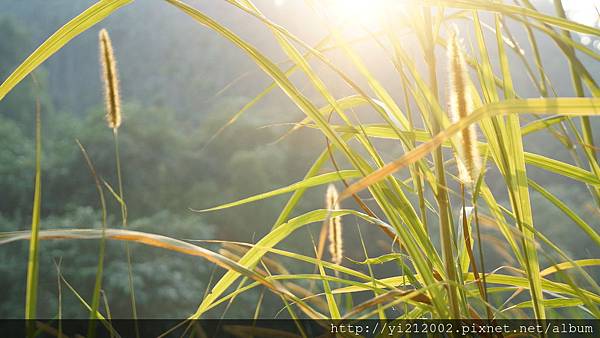 DSC08825.JPG DSC08825.JPG