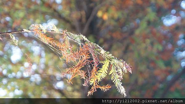 DSC08827.JPG DSC08827.JPG