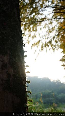 DSC08831.JPG DSC08831.JPG