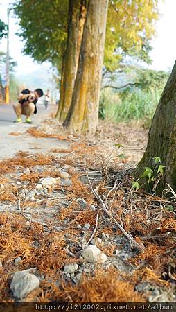 DSC08830.JPG DSC08830.JPG