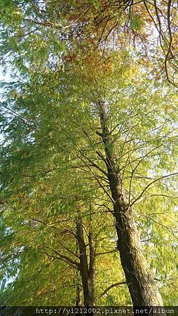 DSC08766.JPG DSC08766.JPG