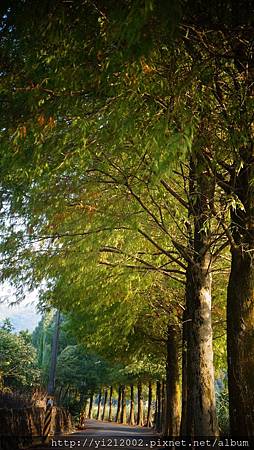 DSC08772.JPG DSC08772.JPG