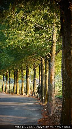 DSC08782.JPG DSC08782.JPG