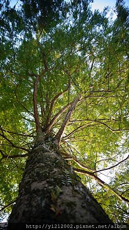 DSC08790.JPG DSC08790.JPG