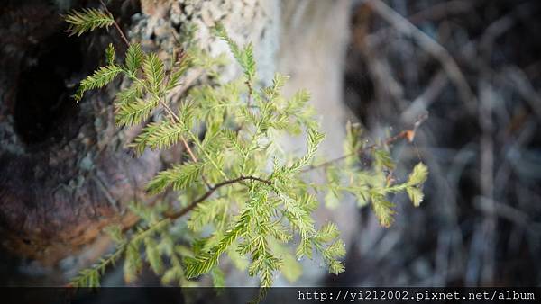 DSC08792.JPG DSC08792.JPG