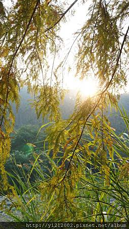 DSC08817.JPG DSC08817.JPG