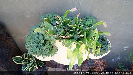 DSC08627.JPG DSC08627.JPG