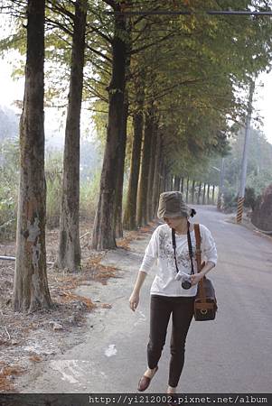 _MG_1002.JPG _MG_1002.JPG