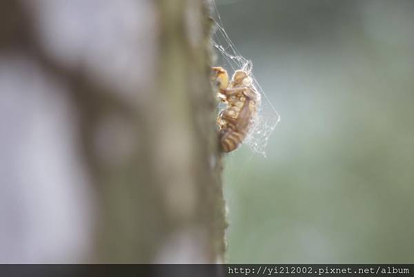 _MG_0995.JPG _MG_0995.JPG