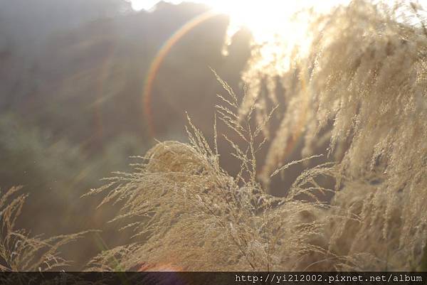 _MG_0996.JPG _MG_0996.JPG