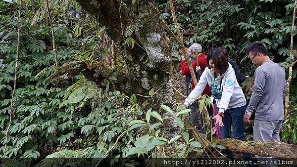 DSC00274.JPG DSC00274.JPG