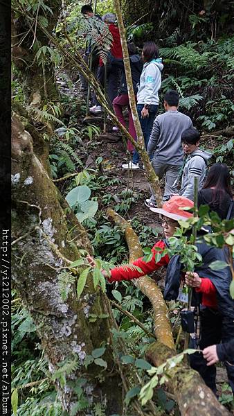 DSC00275.JPG DSC00275.JPG