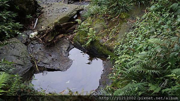 DSC00276.JPG DSC00276.JPG