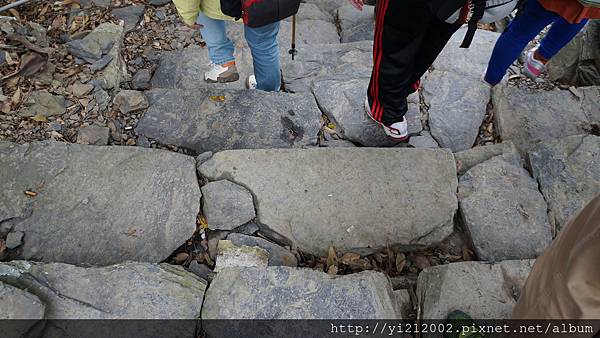 DSC00307.JPG DSC00307.JPG