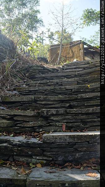 DSC00337.JPG DSC00337.JPG