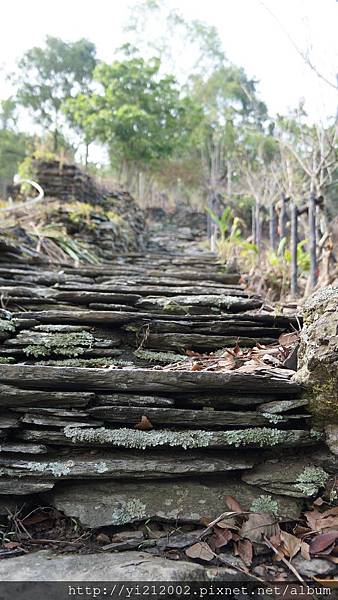 DSC00347.JPG DSC00347.JPG